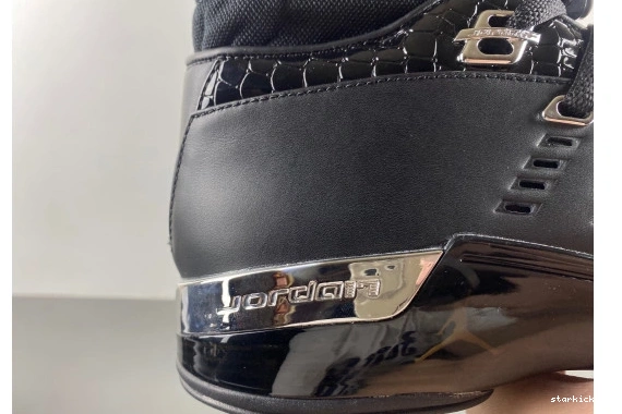 303891-004  Silver 17 303891-004  Jordan Metallic Black 0101